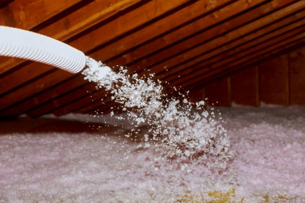 Best Insulation Repair Services  in Everett, PA